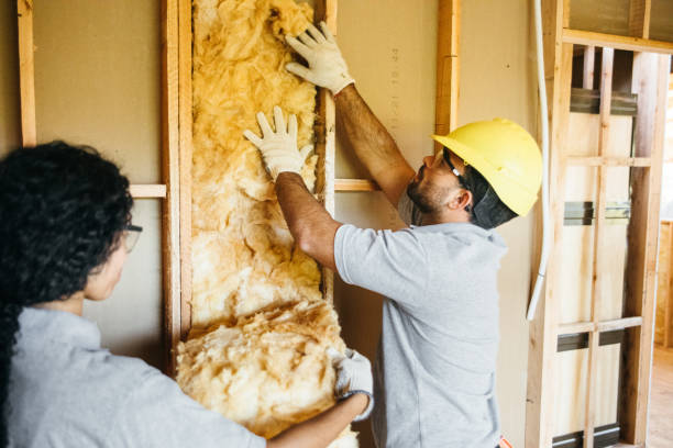 Best Commercial Insulation Services  in Clksville, AR